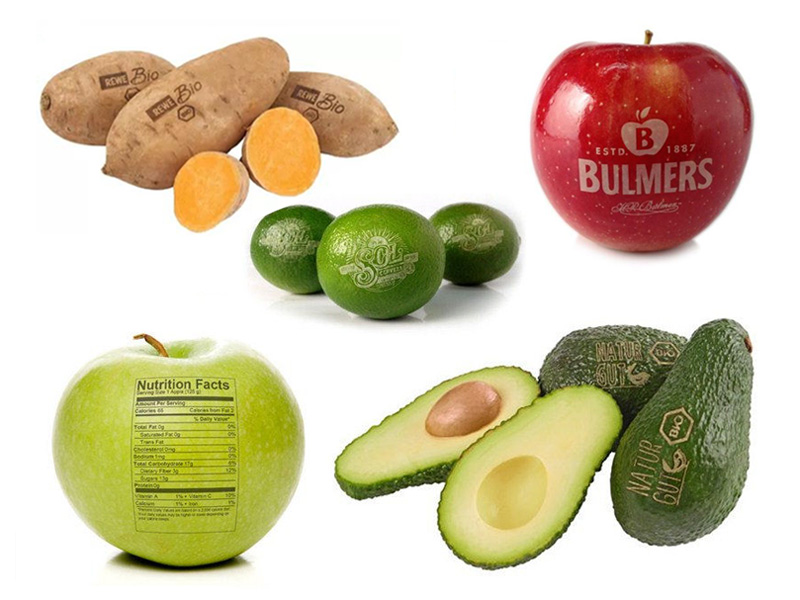 實惠價格 CO2 椰子激光水果打標機