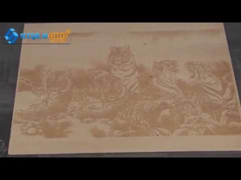 工業級 CO2 木版印刷激光打標機 工業級 CO2 木版印刷激光打標機